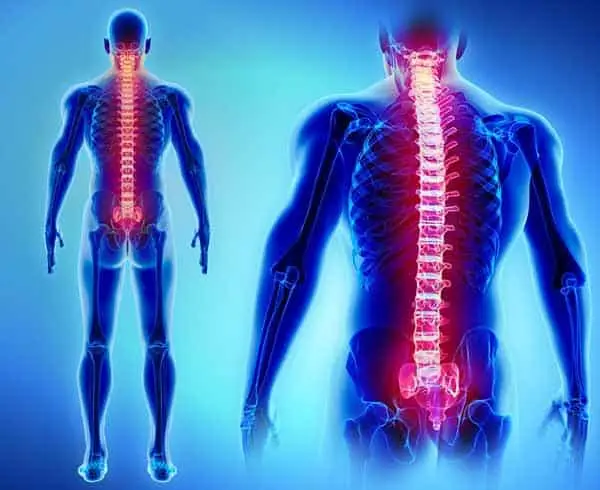 blue anatomical illustration of two bodies with the spine glowing red