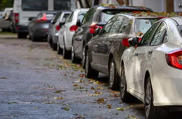 Cars parked along a wet street strewn with fallen autumn leaves