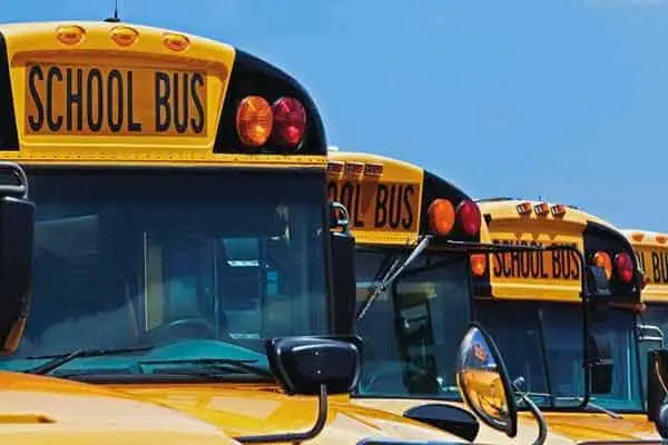 Row of yellow school buses parked under a blue sky