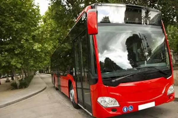 A red articulated city bus parked on a tree-lined street