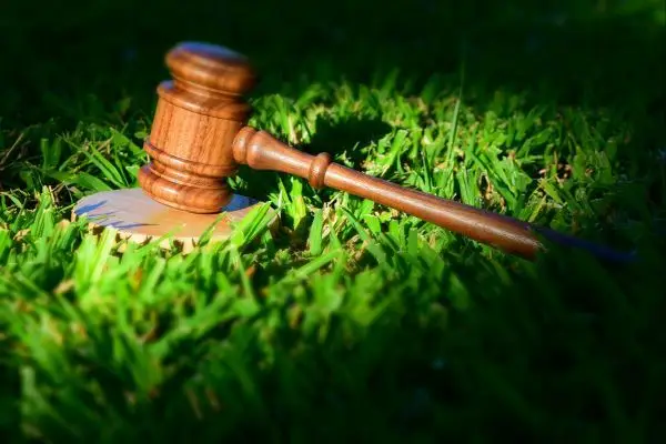 gavel in the grass