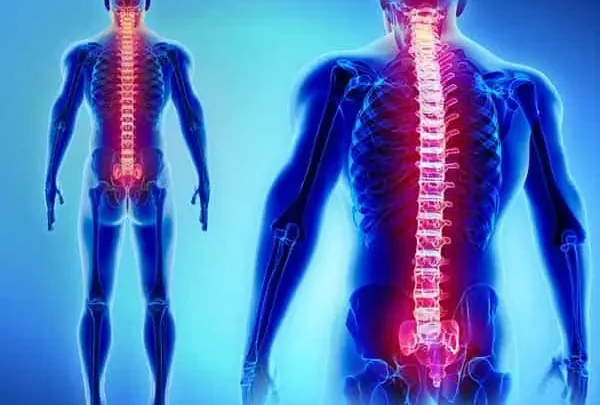 Blue anatomical illustration of two bodies with the spine glowing red