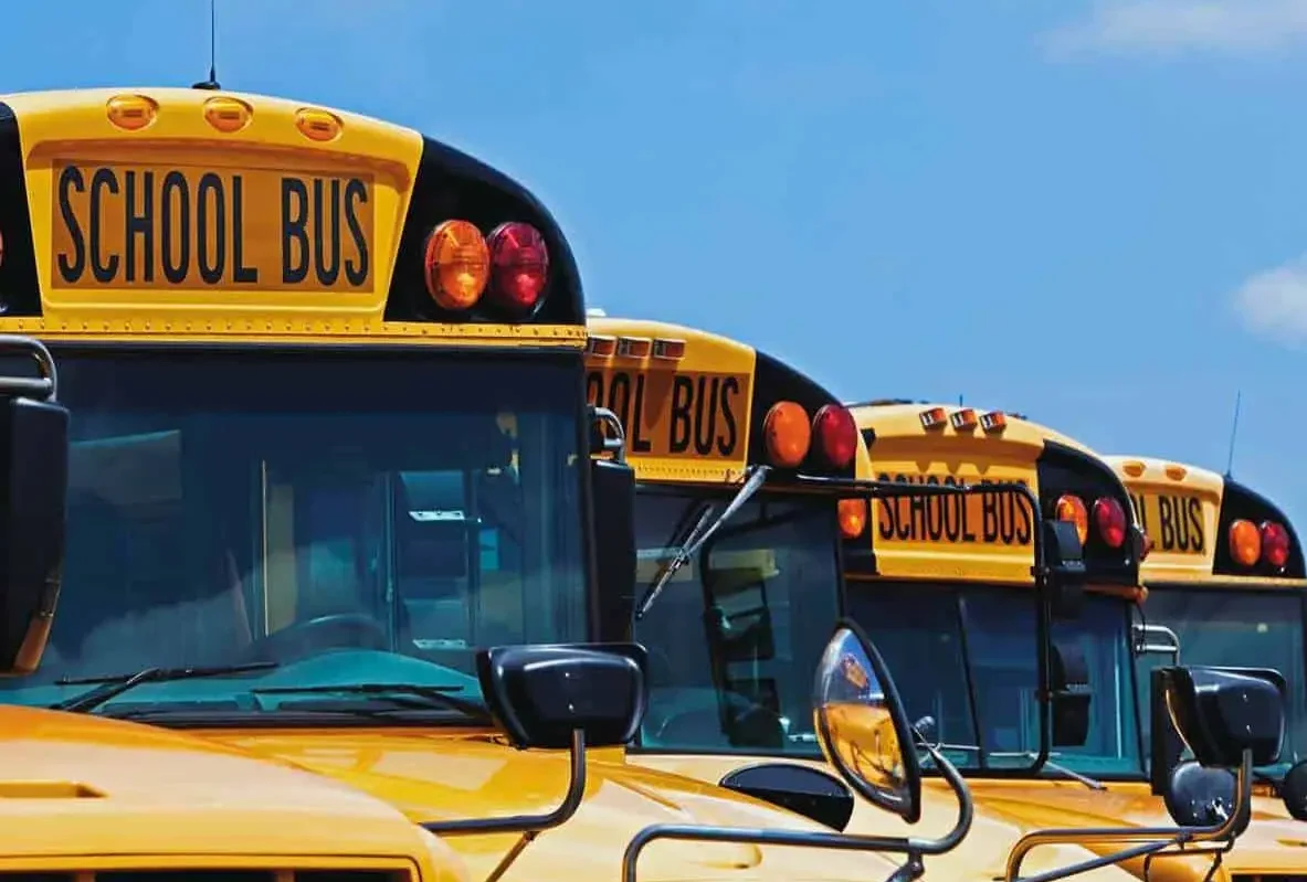 Row of parked yellow school buses under a blue sky