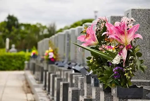 Pink lilies in a vase beside a row of grey cemetery headstones